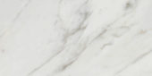 Golden Calacatta Polished 12X24 | Marino Tile NY