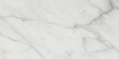 Golden Calacatta Polished 12X24 | Marino Tile NY