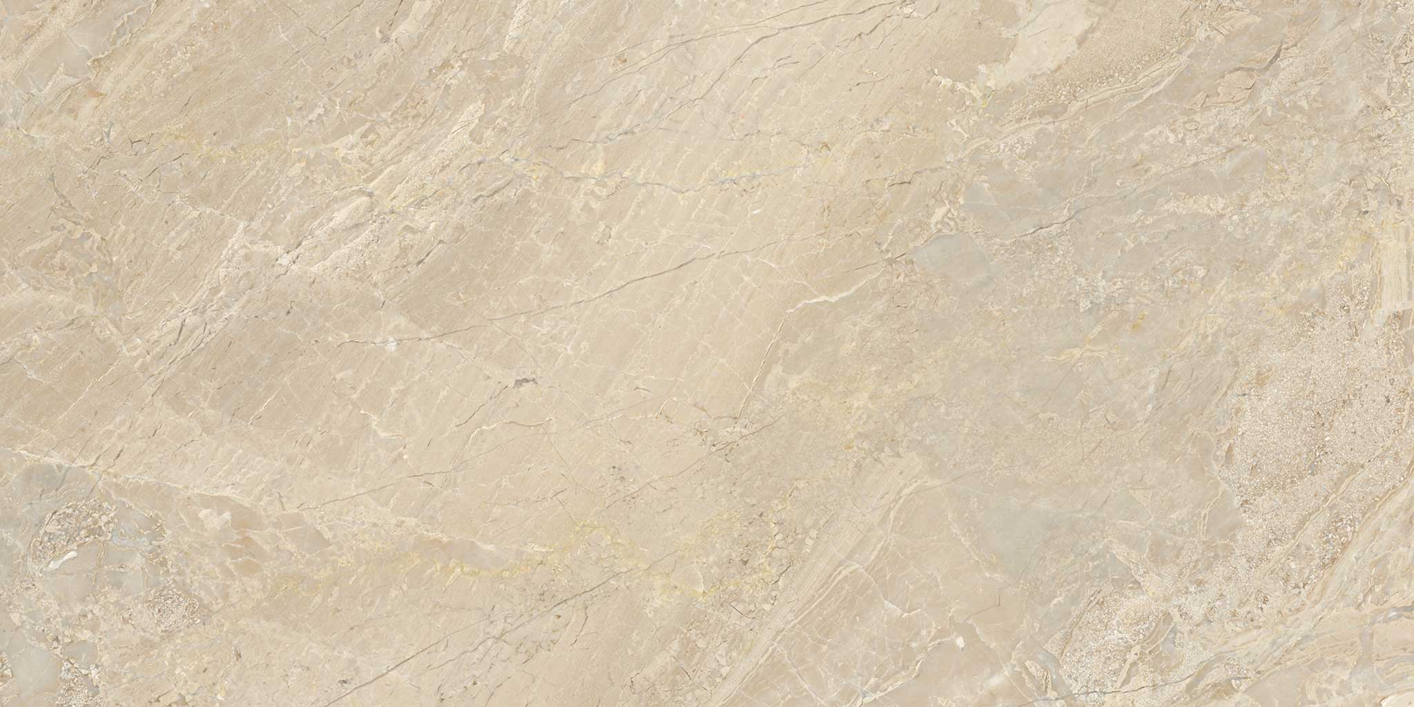Impero Reale 12x24 Honed