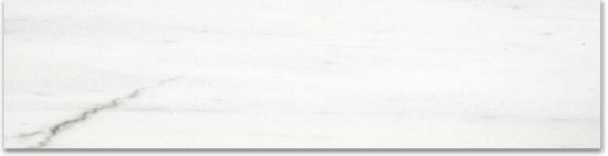 Matte 3X12 Devotion Bullnose | Marino Tile NY