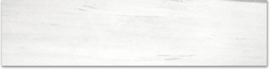 Matte 3X12 Devotion Bullnose | Marino Tile NY