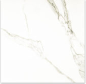 Matte Adoration 24X24 | Marino Tile NY
