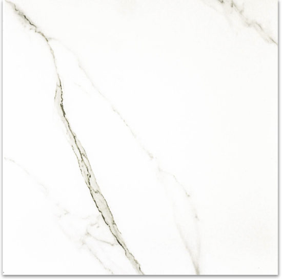 Matte Adoration 24X24 | Marino Tile NY