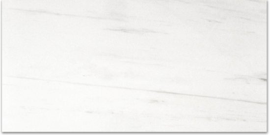 Matte Devotion 12X24 | Marino Tile NY
