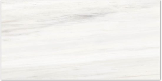 Matte Devotion 16X32 | Marino Tile NY