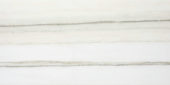 Matte Enchantment 16X32 | Marino Tile NY