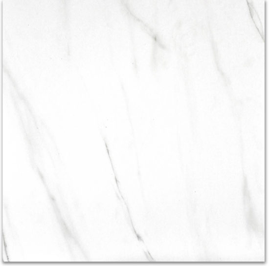 Matte Infatuation 24X24 | Marino Tile NY