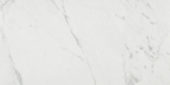 Milano Statuario Honed 12X24 | Marino Tile NY