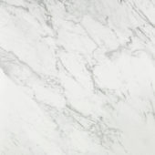 Milano Statuario Honed 24X24 | Marino Tile NY