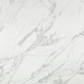 Milano Statuario Honed 24X24 | Marino Tile NY