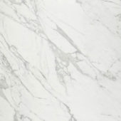 Milano Statuario Honed 32X32 | Marino Tile NY