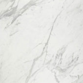 Milano Statuario Honed 32X32 | Marino Tile NY