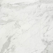 Milano Statuario Honed 32X32 | Marino Tile NY