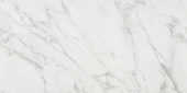 Milano Statuario Polished 12X24 | Marino Tile NY