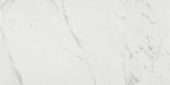 Milano Statuario Polished 12X24 | Marino Tile NY
