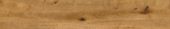 Oak Devonport | Marino Tile NY