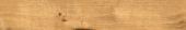 Oak Villa Gold | Marino Tile NY