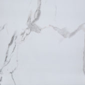 Olympus Matte Wall Panel 24x48 | Marino Tile NY