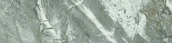 Parana 4X12 | Marino Tile NY
