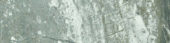 Parana 4X12 | Marino Tile NY