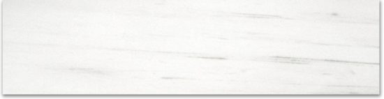 Polished 3X12 Devotion Bullnose | Marino Tile NY
