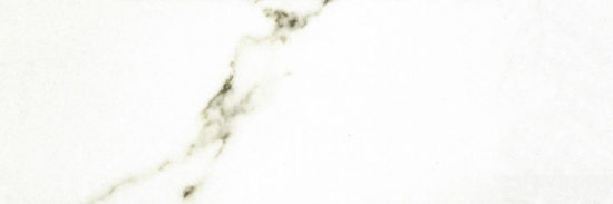 Polished Adoration 10.5X32 | Marino Tile NY
