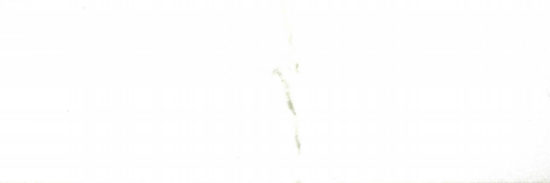 Polished Adoration 10.5X32 | Marino Tile NY