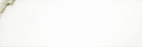 Polished Adoration 10.5X32 | Marino Tile NY