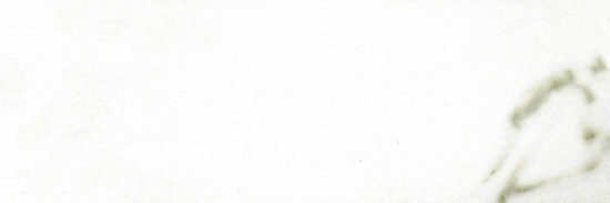 Polished Adoration 10.5X32 | Marino Tile NY