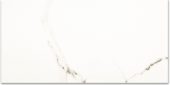 Polished Adoration 12X24 | Marino Tile NY
