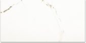 Polished Adoration 16X32 | Marino Tile NY