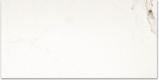 Polished Adoration 16X32 | Marino Tile NY