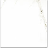 Polished Adoration 24X24 | Marino Tile NY