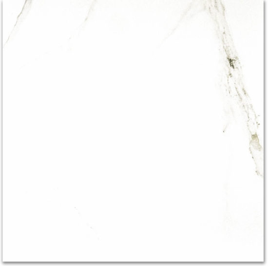 Polished Adoration 24X24 | Marino Tile NY