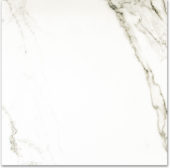 Polished Adoration 24X24 | Marino Tile NY