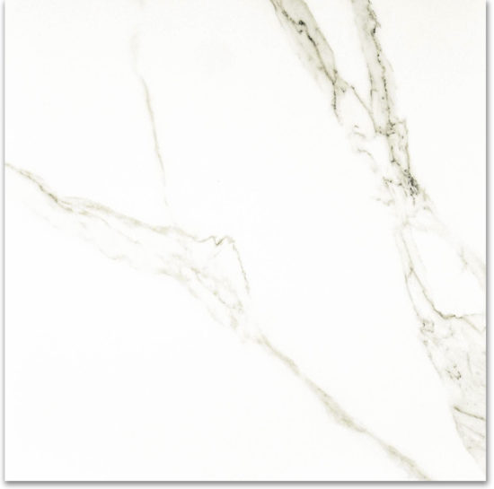 Polished Adoration 24X24 | Marino Tile NY