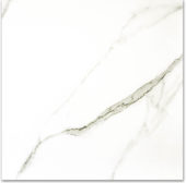 Polished Adoration 24X24 | Marino Tile NY