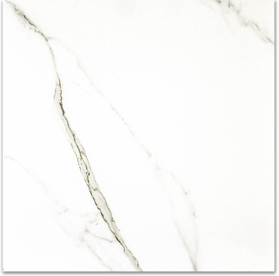 Polished Adoration 24X24 | Marino Tile NY