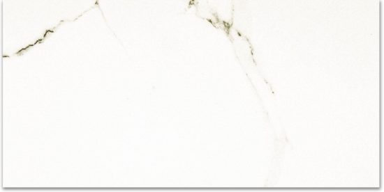 Polished Adoration 24X48 | Marino Tile NY