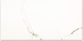 Polished Adoration 24X48 | Marino Tile NY