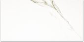 Polished Adoration 24X48 | Marino Tile NY