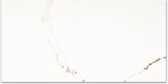 Polished Adoration 24X48 | Marino Tile NY