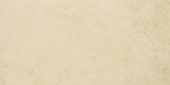 Polished Affection 16X32 | Marino Tile NY