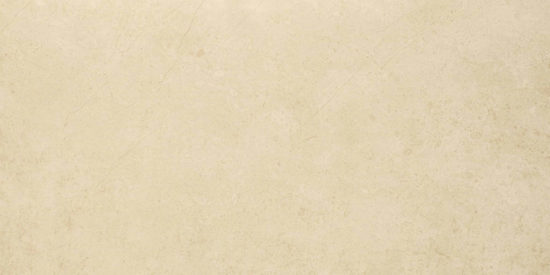 Polished Affection 16X32 | Marino Tile NY