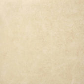 Polished Affection 24X24 | Marino Tile NY
