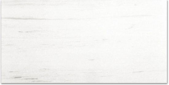 Polished Devotion 12X24 | Marino Tile NY