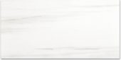 Polished Devotion 12X24 | Marino Tile NY