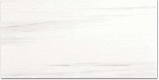 Polished Devotion 12X24 | Marino Tile NY