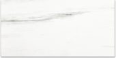 Polished Devotion 12X24 | Marino Tile NY