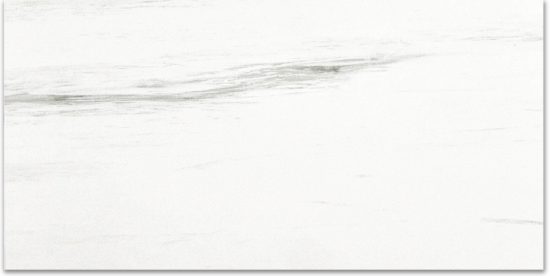 Polished Devotion 12X24 | Marino Tile NY